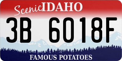 ID license plate 3B6018F