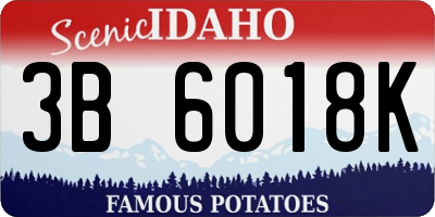 ID license plate 3B6018K