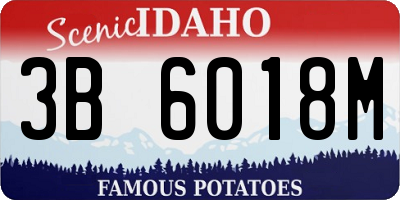 ID license plate 3B6018M