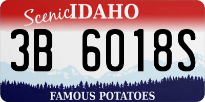 ID license plate 3B6018S