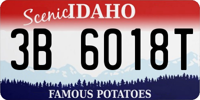 ID license plate 3B6018T