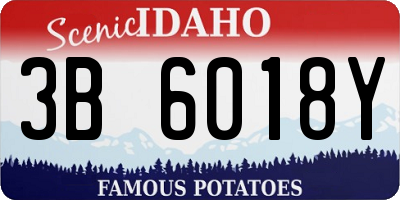 ID license plate 3B6018Y