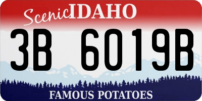 ID license plate 3B6019B