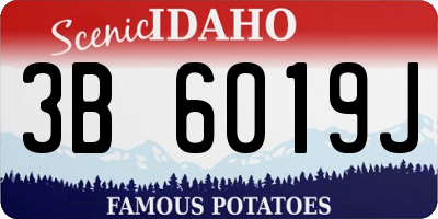 ID license plate 3B6019J