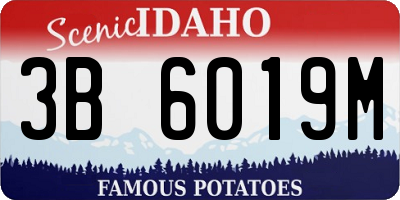 ID license plate 3B6019M