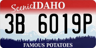 ID license plate 3B6019P