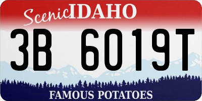 ID license plate 3B6019T