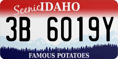 ID license plate 3B6019Y