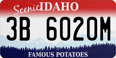 ID license plate 3B6020M