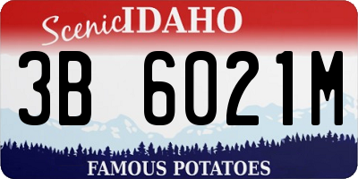 ID license plate 3B6021M