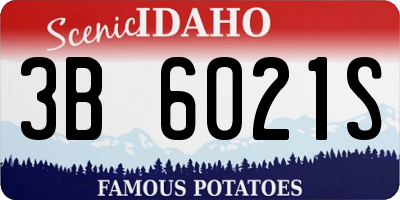 ID license plate 3B6021S