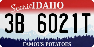 ID license plate 3B6021T