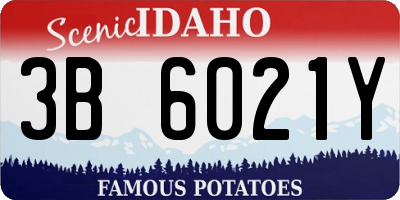 ID license plate 3B6021Y
