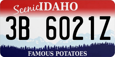 ID license plate 3B6021Z
