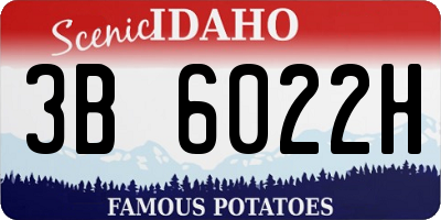 ID license plate 3B6022H