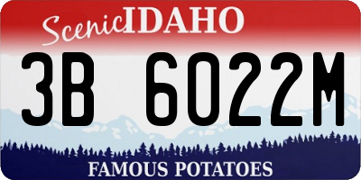 ID license plate 3B6022M