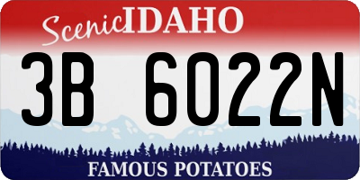 ID license plate 3B6022N