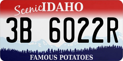 ID license plate 3B6022R