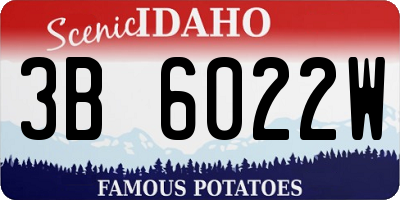 ID license plate 3B6022W