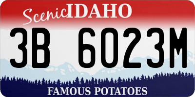 ID license plate 3B6023M