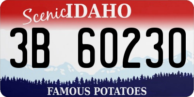 ID license plate 3B6023O