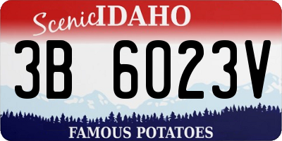 ID license plate 3B6023V