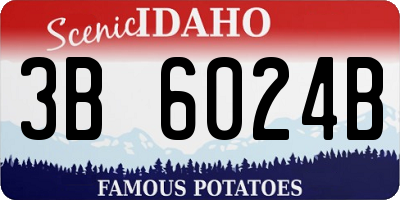 ID license plate 3B6024B