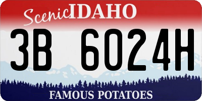 ID license plate 3B6024H