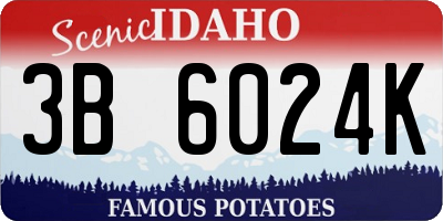 ID license plate 3B6024K