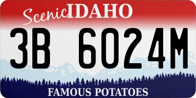 ID license plate 3B6024M