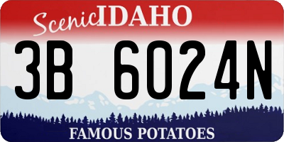 ID license plate 3B6024N