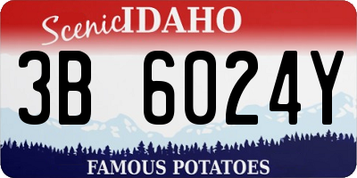 ID license plate 3B6024Y