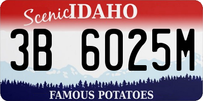 ID license plate 3B6025M