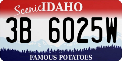 ID license plate 3B6025W