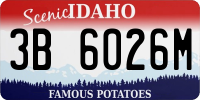 ID license plate 3B6026M