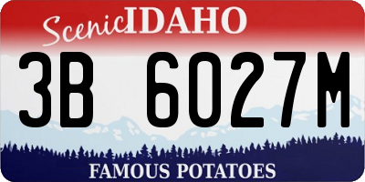 ID license plate 3B6027M