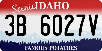ID license plate 3B6027V