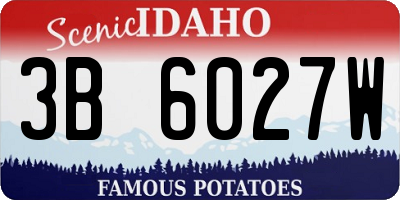 ID license plate 3B6027W