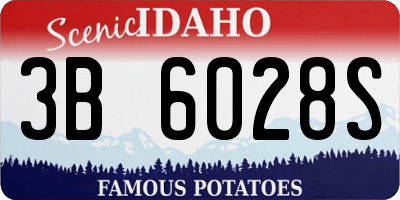 ID license plate 3B6028S