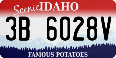 ID license plate 3B6028V