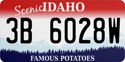 ID license plate 3B6028W