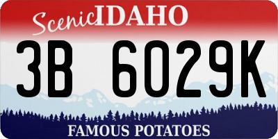ID license plate 3B6029K