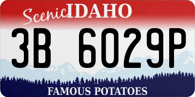 ID license plate 3B6029P
