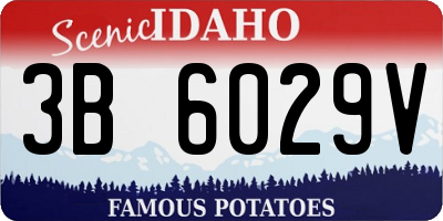 ID license plate 3B6029V