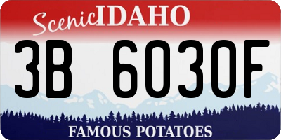 ID license plate 3B6030F
