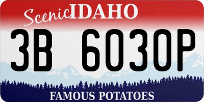 ID license plate 3B6030P