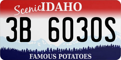 ID license plate 3B6030S
