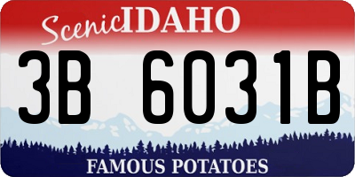 ID license plate 3B6031B