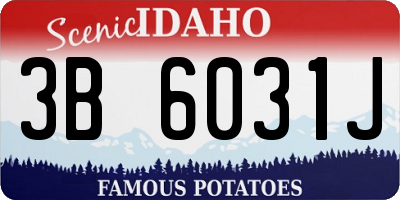 ID license plate 3B6031J