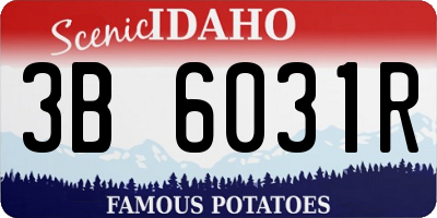 ID license plate 3B6031R